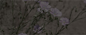bg02